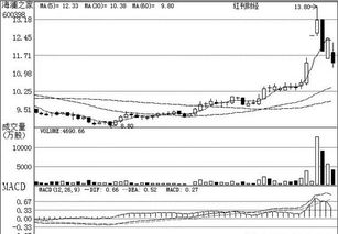 公司研究之機構關注個股